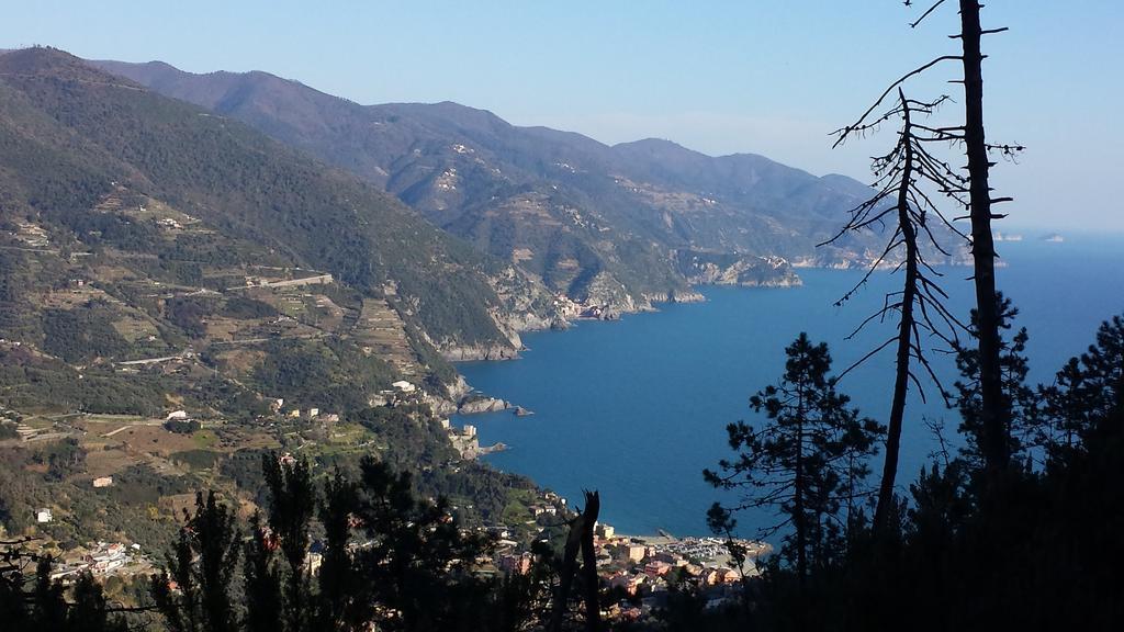 Raggi Di Sole Hotel Monterosso al Mare Eksteriør billede